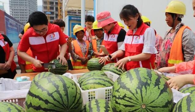 “保卫蓝天为地球充电，百威携手联合国环境规划署共庆世界环境日”